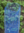 Rebschützer, Längen: 40/50/60 cm. / Farben: blau/grün/schwarz